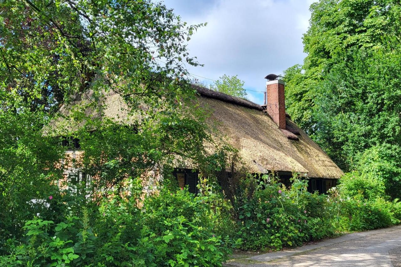 Haus Swanhild Villa Fockbek Exteriör bild